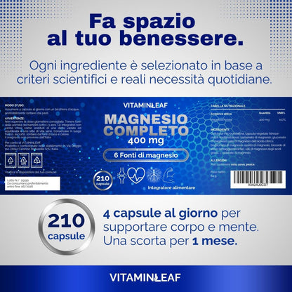 Magnesio Completo – Formula a 6 forme per Stanchezza ed Energia - VitaminLeaf