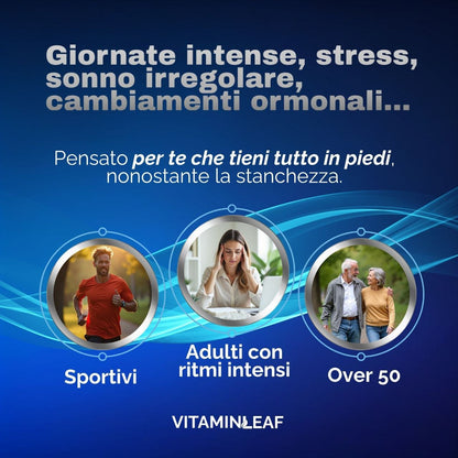 Magnesio Completo – Formula a 6 forme per Stanchezza ed Energia - VitaminLeaf